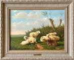 Laurens Plas (1828-1888) - Schapen op het land