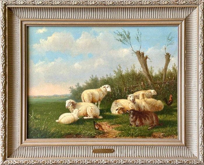 Laurens Plas (1828-1888) - Schapen op het land, Antiquités & Art, Art | Peinture | Classique