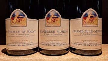 2011 Georges Mugneret-Gibourg, Les Feusselottes - Chambolle, Verzamelen, Nieuw