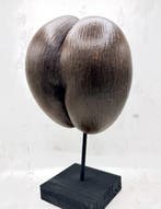 Coco de mer Taxidermie volledige montage - Lodoicea