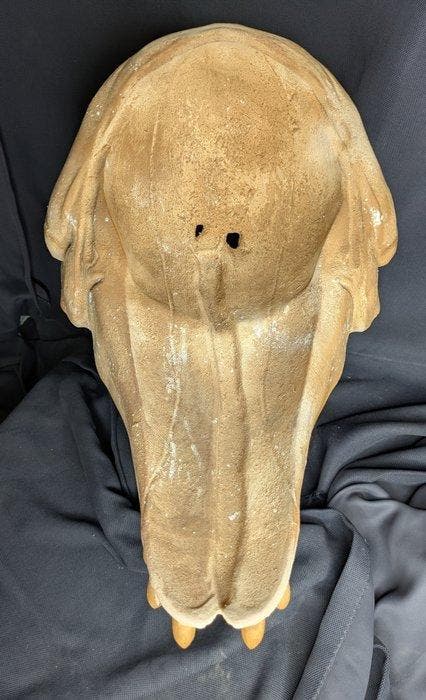 Fossiele schedel - Livyatan Melvillei - Museum-Grade Replica, Verzamelen, Mineralen en Fossielen