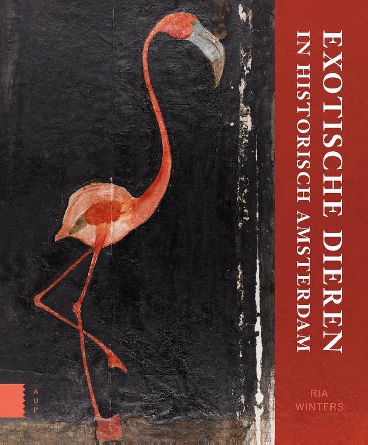 Exotische dieren in historisch Amsterdam 9789462985315, Livres, Histoire mondiale, Envoi