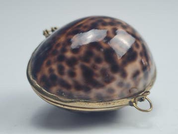 Boîte de tabac à priser - Coquille, Laiton