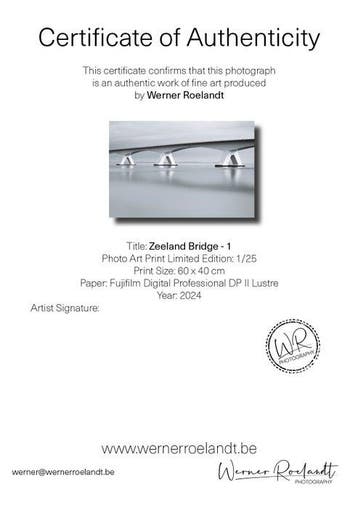 Werner Roelandt - Zeeland Bridge - 1 - No Reserve Price