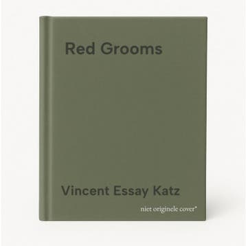 Red Grooms 9780810967335 Vincent Essay Katz, Verzenden, Gelezen, Vincent Essay Katz