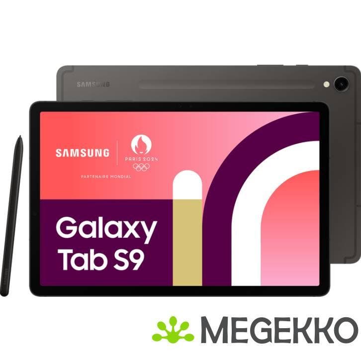 Samsung Galaxy Tab S9 128GB 11  Graphite, Informatique & Logiciels, Ordinateurs & Logiciels Autre, Envoi