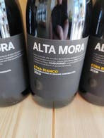 2019 Alta Mora Cusumano - Sicilië - 5 Flessen (0.75 liter), Nieuw