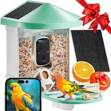 Vogelvoederstation 2K HD | Retour Deal | 67% korting, Verzamelen, Elektronische Apparatuur, Verzenden, Overige typen