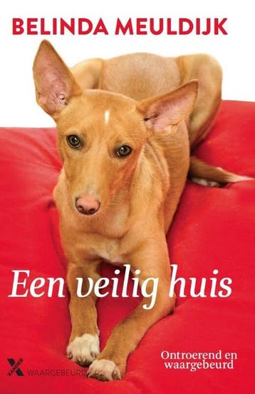 Een veilig huis 9789401604840 Belinda Meuldijk, Verzenden, Zo goed als nieuw, Belinda Meuldijk