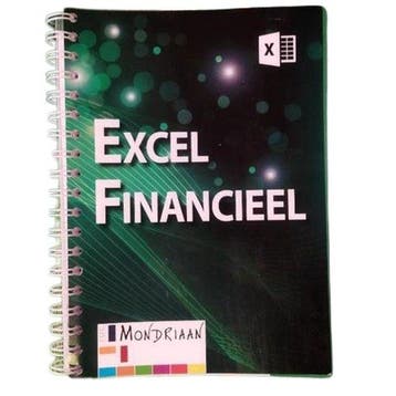 Excel Financieel 2019 Mondriaan Boek 9789059067370, Verzenden, Gelezen