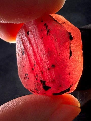 Robijn Echt juweel! Prachtige 99,5 ct. bloedrobijn uit, Verzamelen