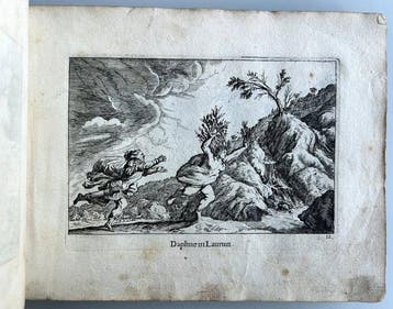 Ovid - Ovidii Nasonis Metamorphosis oder wunderliche