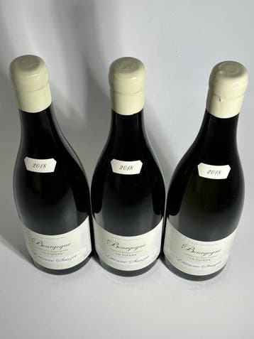 2018 Etienne Sauzet La Tufera - Bourgogne - 3 Bouteilles, Nieuw