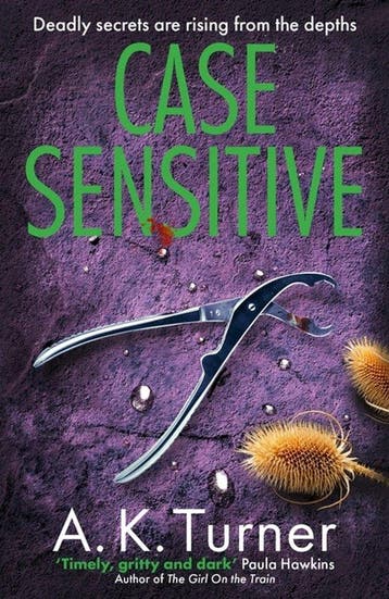 Cassie Raven- Case Sensitive 9781804180594 A. K. Turner, Verzenden, A. K. Turner