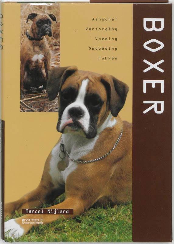 Boxer 9789058410788 M. Nijland, Livres, Loisirs & Temps libre, Envoi