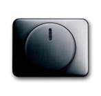 ABB Busch-Jaeger Alpha Schakelelement/Centrale Plaat -, Doe-het-zelf en Bouw, Verzenden, Nieuw