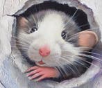 Gala - Mouse, hamster painting ~Observer~