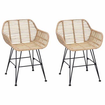 Riet/IJzer Eetstoelen 2st | Retour deal | Sla nu je slag, Gebruikt, Twee, Overige kleuren, Verzenden
