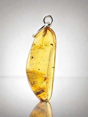 Verzamelaars Baltisch Amberhanger – Helder Vliegende Mier