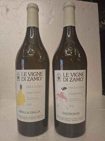 2022 x3 Sauvignon Blanc & 2022 x3 Ribolla Gialla, Vigne di