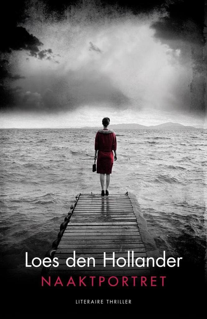 Naaktportret 9789045215129 Loes den Hollander, Boeken, Thrillers, Gelezen, Verzenden