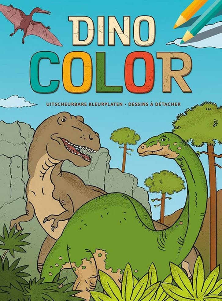 Dino Color kleurblok / Dino Color Bloc de coloriage ZNU, Boeken, Overige Boeken, Zo goed als nieuw, Verzenden