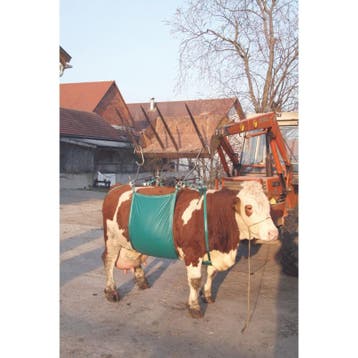 Koelift koeliftzijl - super sterke kwaliteit - kerbl