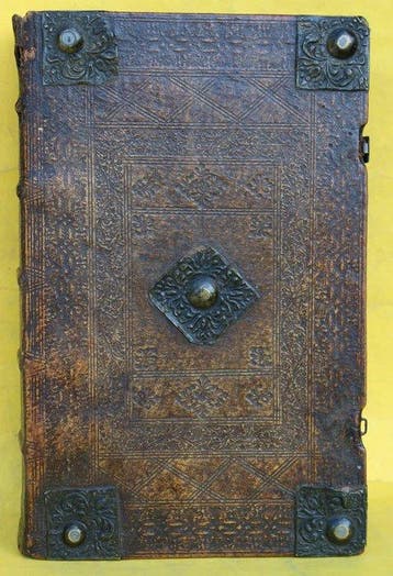 Biblia Germanica - Die Bibel Das ist: Alle Bücher der ganzen