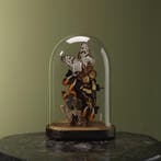 Vlinders in Stolp Taxidermie Opgezette Dieren By Max, Ophalen of Verzenden, Opgezet dier