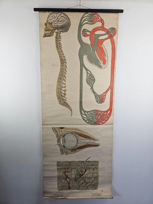 ca. 1940-1950 – Rudolf Schick & Van Goor / Prof. Dr. J.A.J., Antiek en Kunst, Antiek | Wandborden en Tegels