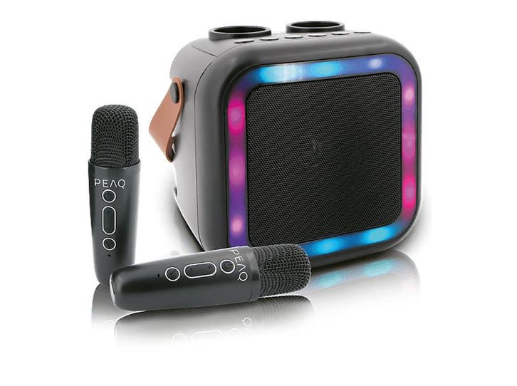 Peaq -  Pkm-100 Karaoke Machine  - Zwart, TV, Hi-fi & Vidéo, Enceintes, Envoi