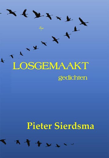 Losgemaakt 9789464939293 Pieter Sierdsma, Verzenden, Zo goed als nieuw, Pieter Sierdsma