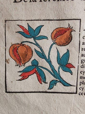 Sebastian Münster (1489–1552) - Cosmographie Universelle -