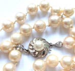 Zonder minimumprijs - Halsketting 14 kt witgoud -, Nieuw