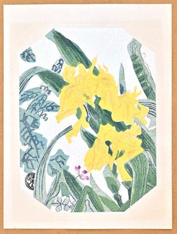 Fifty Flower Themes - Yellow Iris  - 1930 - Limited