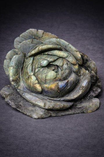 Labradoriet lotus-snijwerk met iriserende gloed -