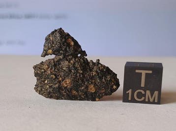 NWA 14977 - meteoriet Lunar (feldspaatbreccie) - Hoogte: 2.4