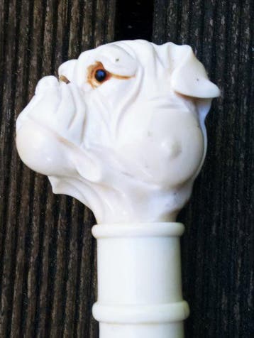 Wandelstok - Hout, celluloïde - Stok het hoofd van de hond, Antiek en Kunst