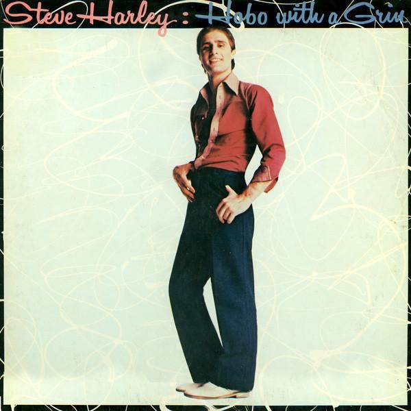 Steve Harley - Hobo With A Grin, Cd's en Dvd's, Vinyl | Pop, Gebruikt, Verzenden