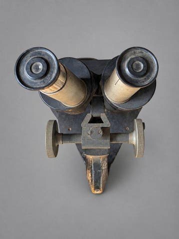 Binocular compound microscope - 1900-2000 - Carl Zeiss