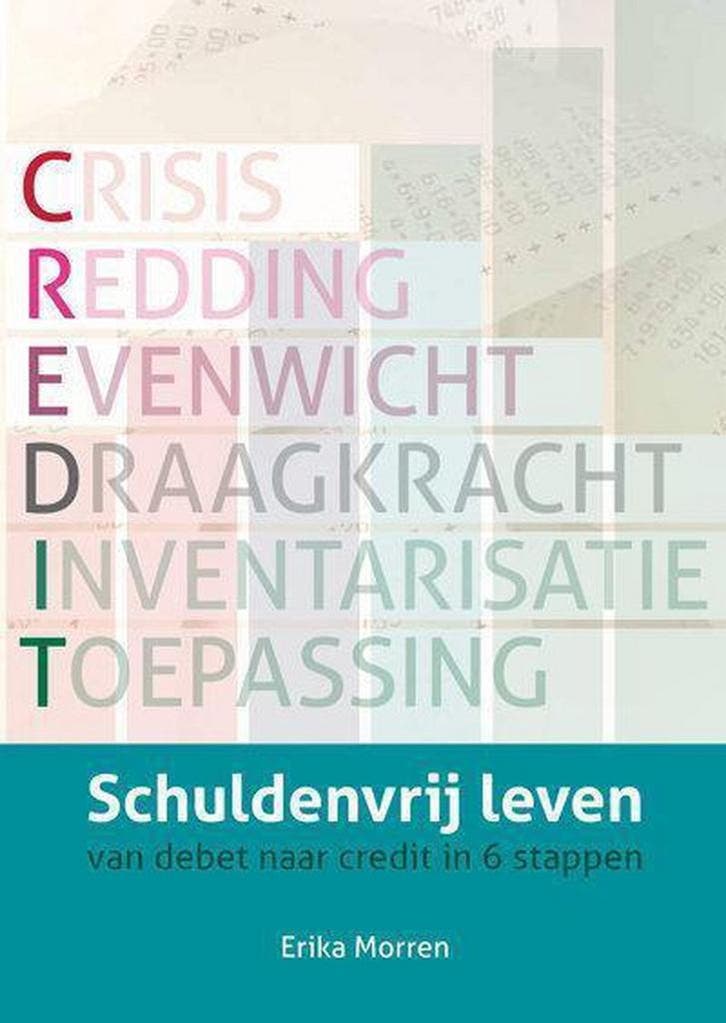 schuldenvrij leven 9789082075502 Erika Morren, Livres, Livres Autre, Envoi