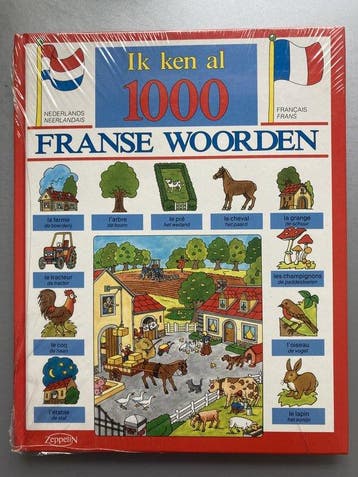 1000 franse woorden Ik ken al 9789037452167 Jongh, Boeken, Verzenden, Gelezen, Jongh