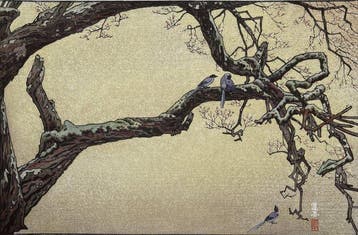 Jyuzu kake no Ume (Plum Tree & Blue Magpie) - Toshi