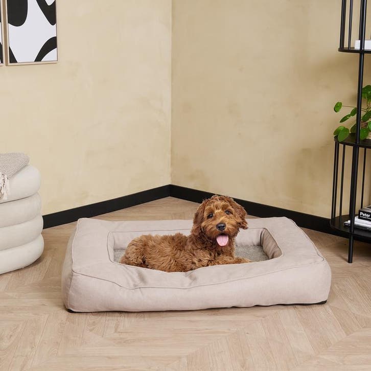 Hondenkussen met memory foam - 70 x 100 x 17 cm, Maison & Meubles, Cuisine | Casseroles & Poêles, Envoi