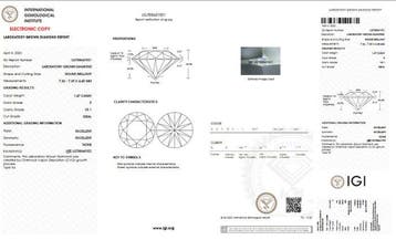 Sans prix de réserve - Boucles doreilles cloutées - 14