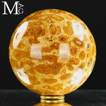 Fossil Coral Sphere - Fossiele Bol in Madreporietkoraal –