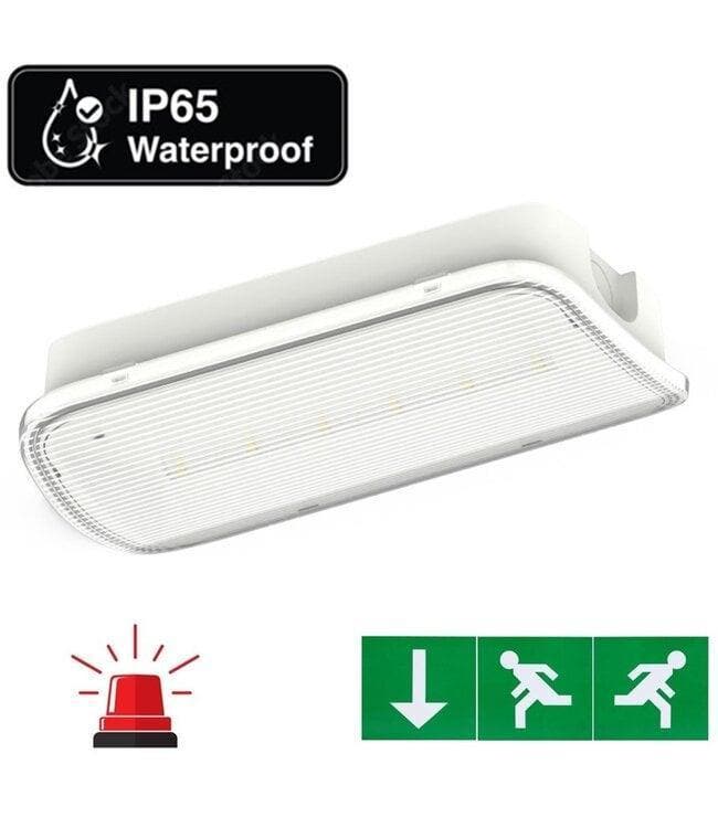 Opbouw LED Noodverlichting | LED Bulkhead | Scherp in prijs, Articles professionnels, Aménagement de Bureau & Magasin | Commerce & Inventaire