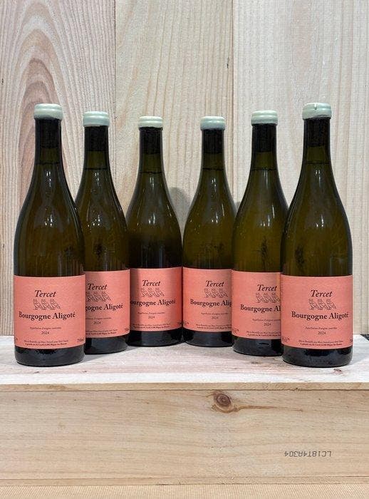 2024 Tercet (Marc Soyard) - Bourgogne Aligoté - 6 Flessen, Verzamelen, Wijnen