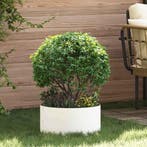 vidaXL Plantenring 5 pcs Wit 40 x 40 x 20 cm Koudgewalst, Verzenden, Nieuw