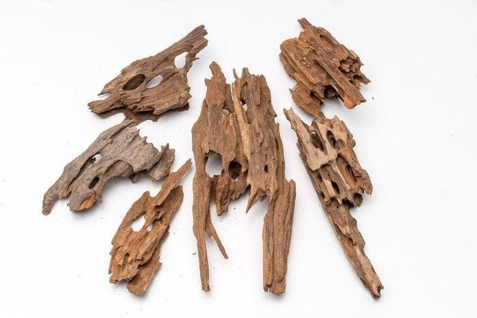 Dragon wood, Dieren en Toebehoren, Vissen | Aquaria en Toebehoren, Nieuw, Verzenden